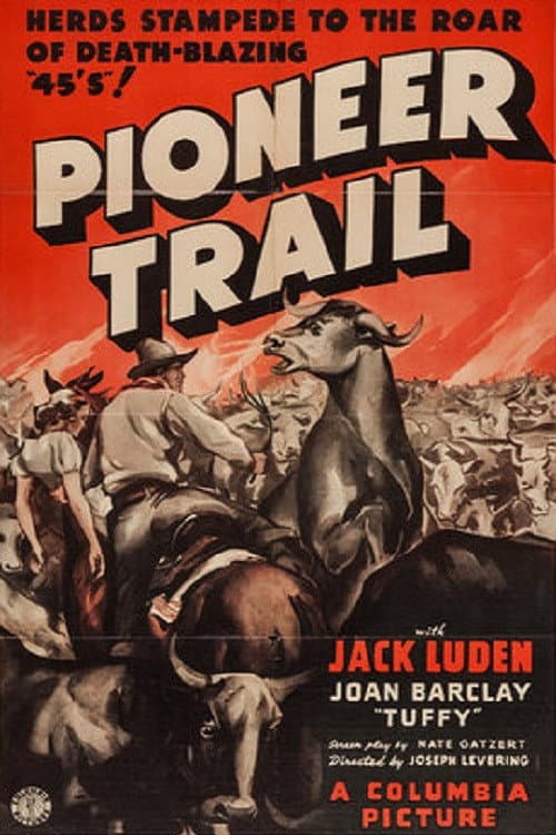 Poster di Pioneer Trail