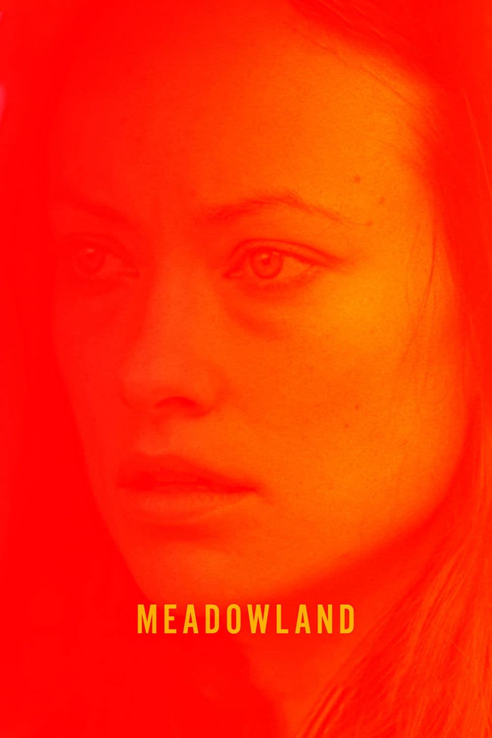 Poster di Meadowland