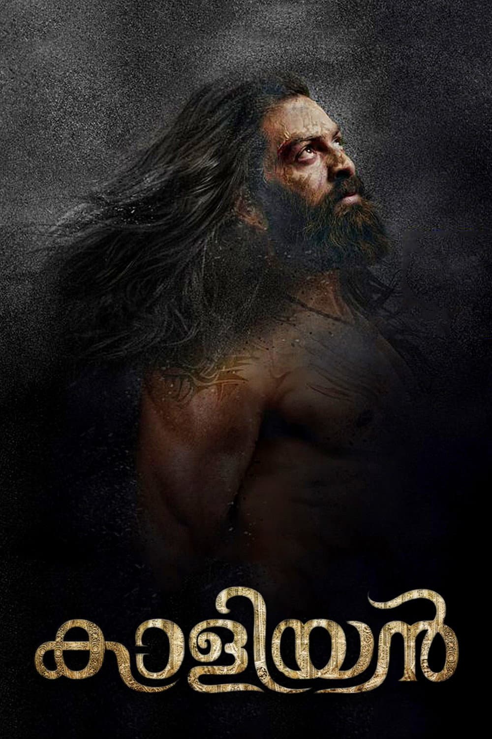 Poster di കാളിയൻ
