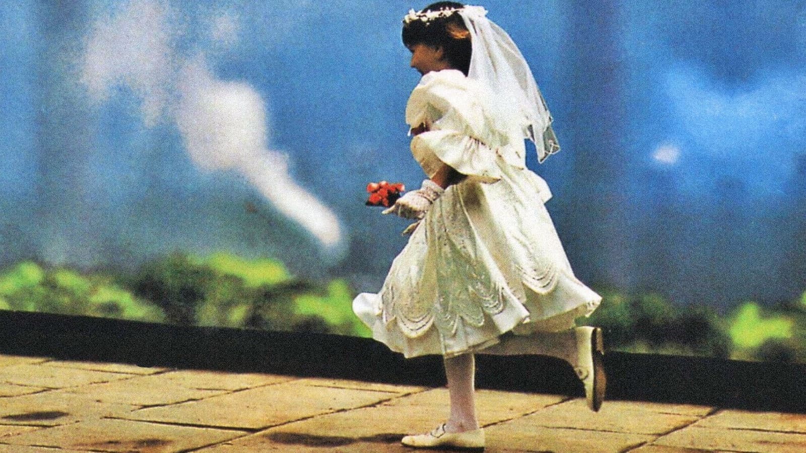 Piovono pietre - immagine