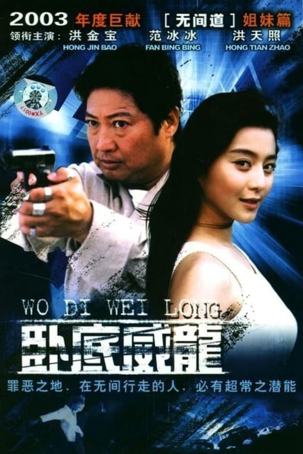 Poster di 特警飞龙