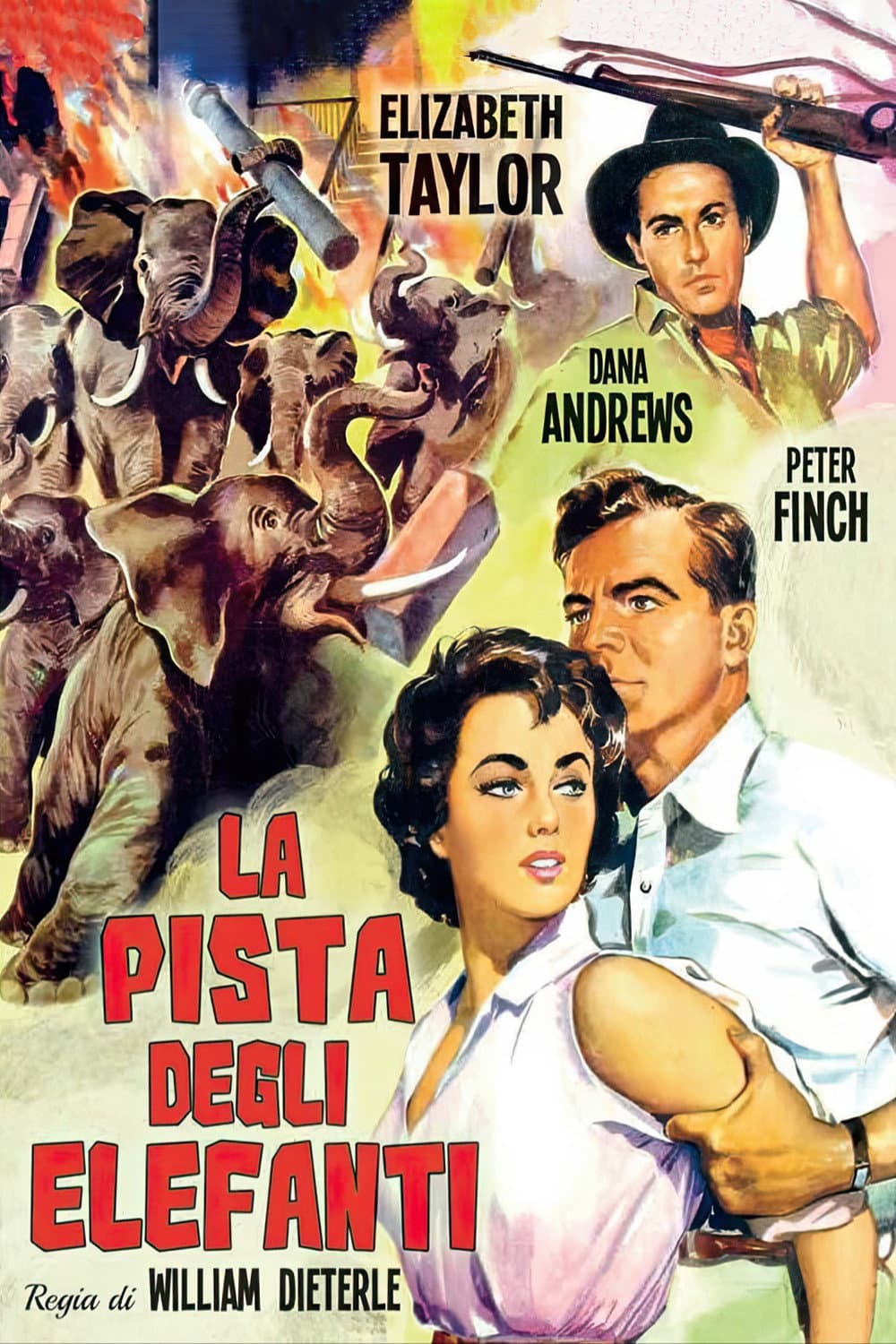 Poster di La pista degli elefanti