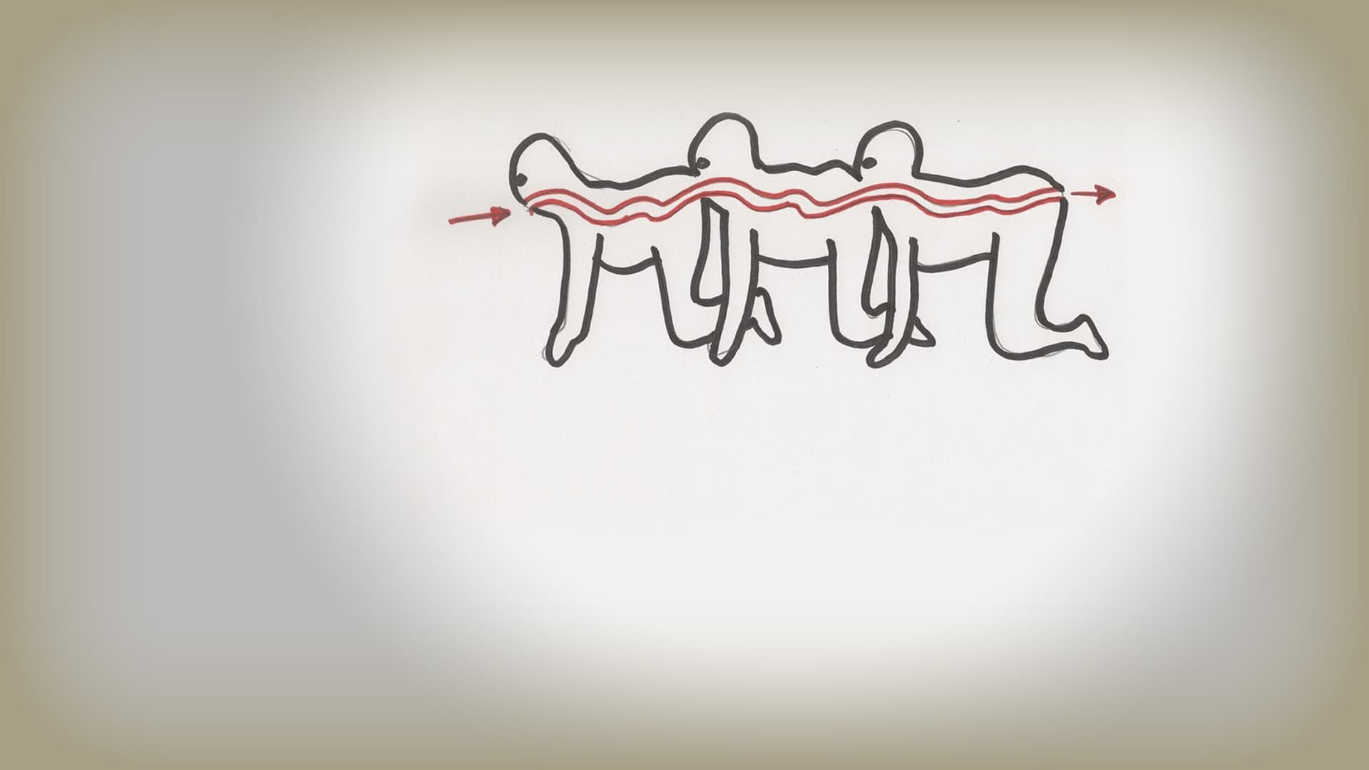 The Human Centipede (First Sequence) - immagine