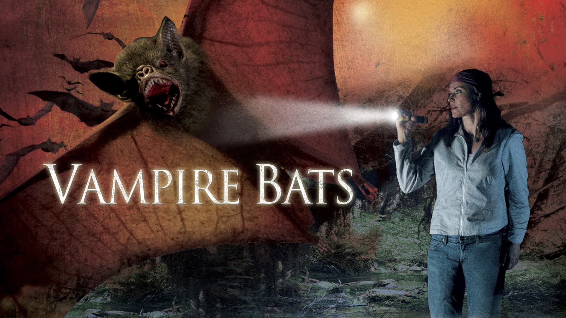 Pipistrelli vampiro - immagine