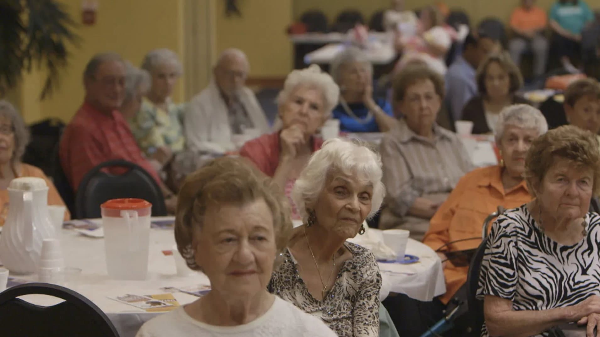 A Greater Society - immagine