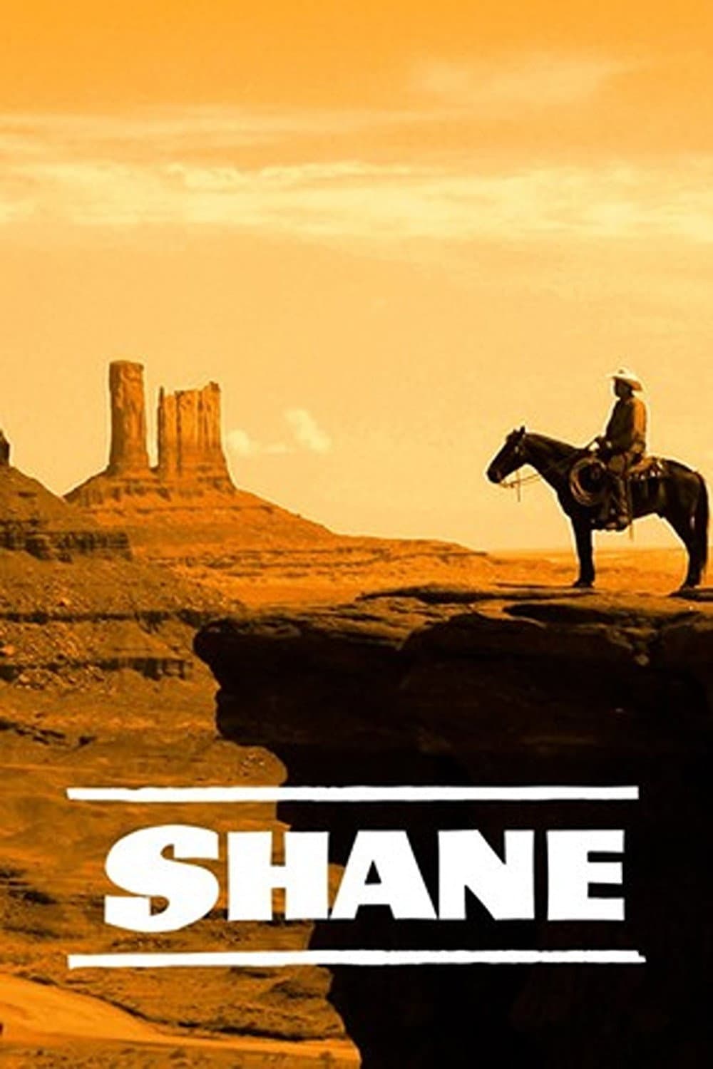 Poster di Shane