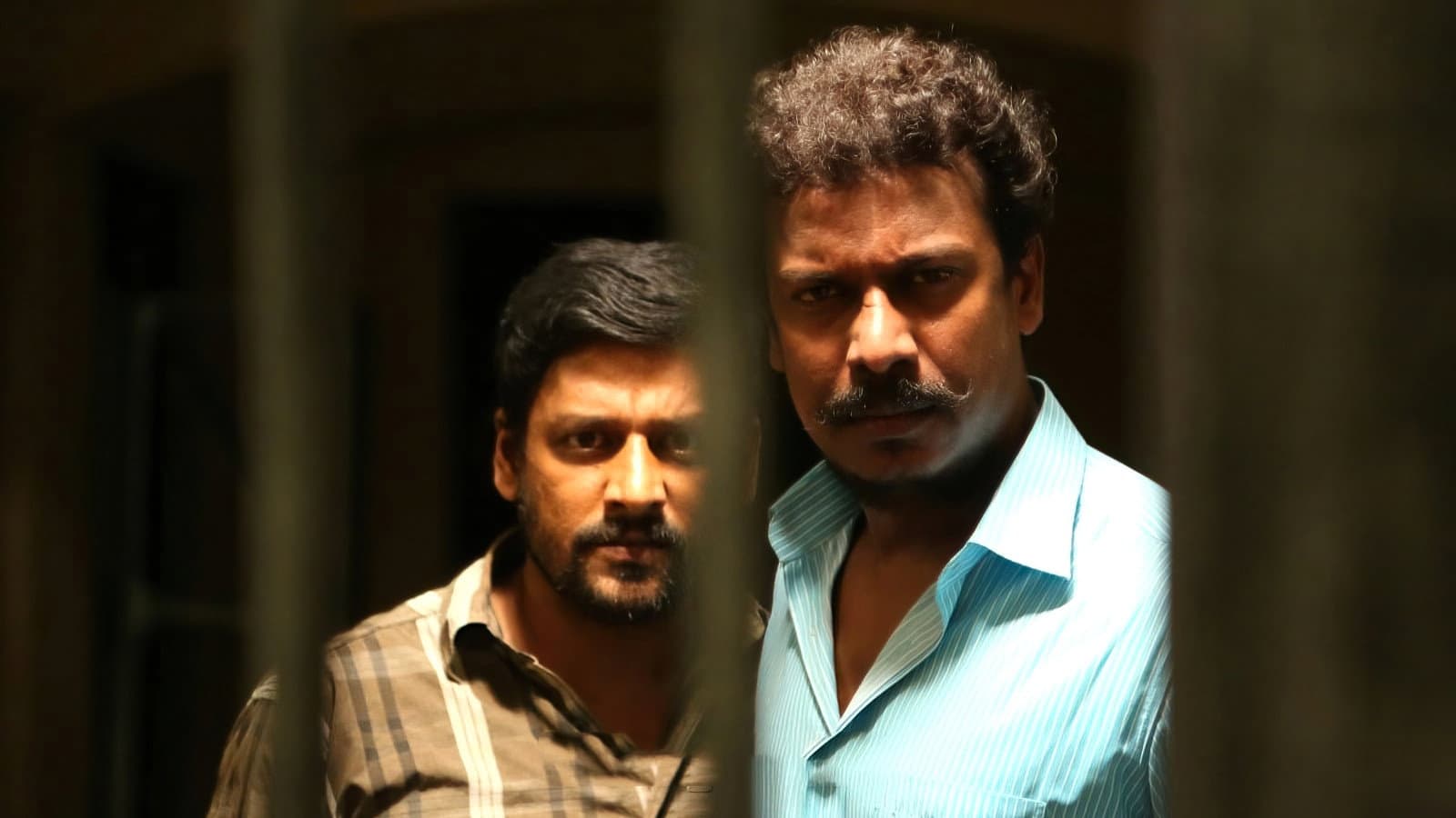 காடு - immagine
