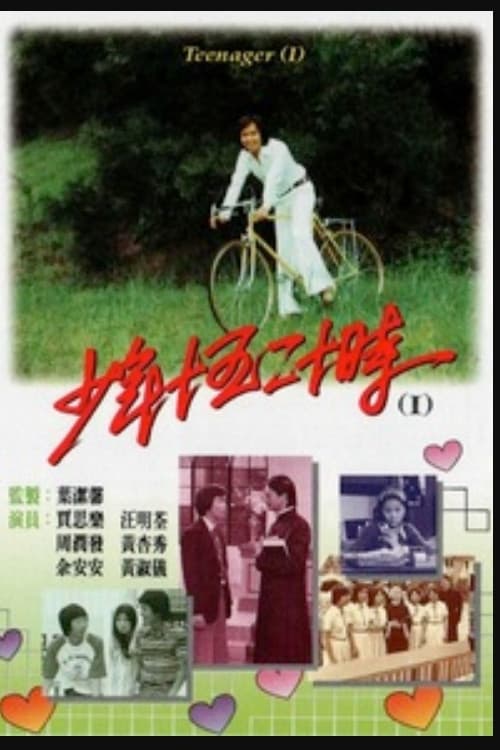 Poster di 少年十五二十時