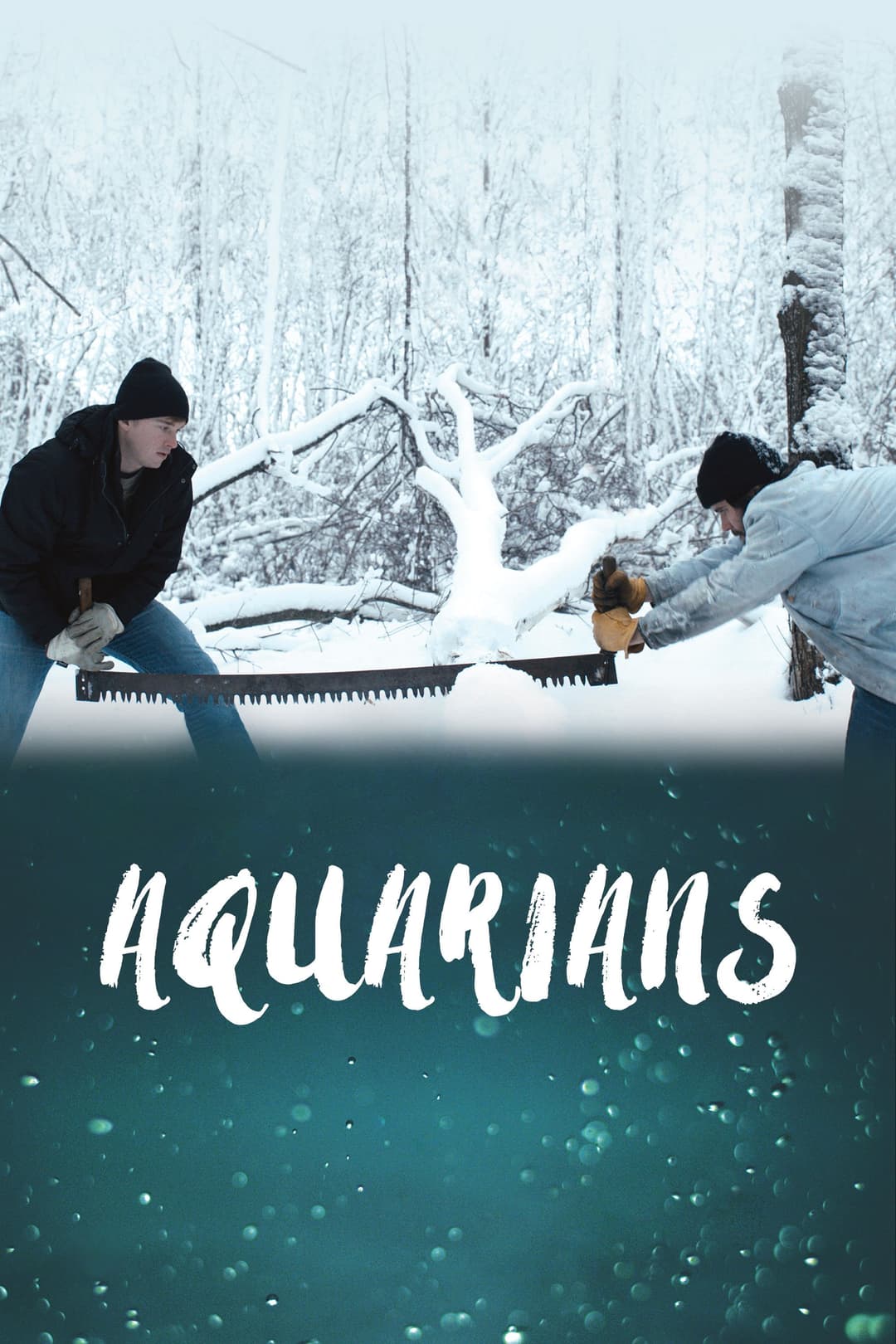 Poster di Aquarians