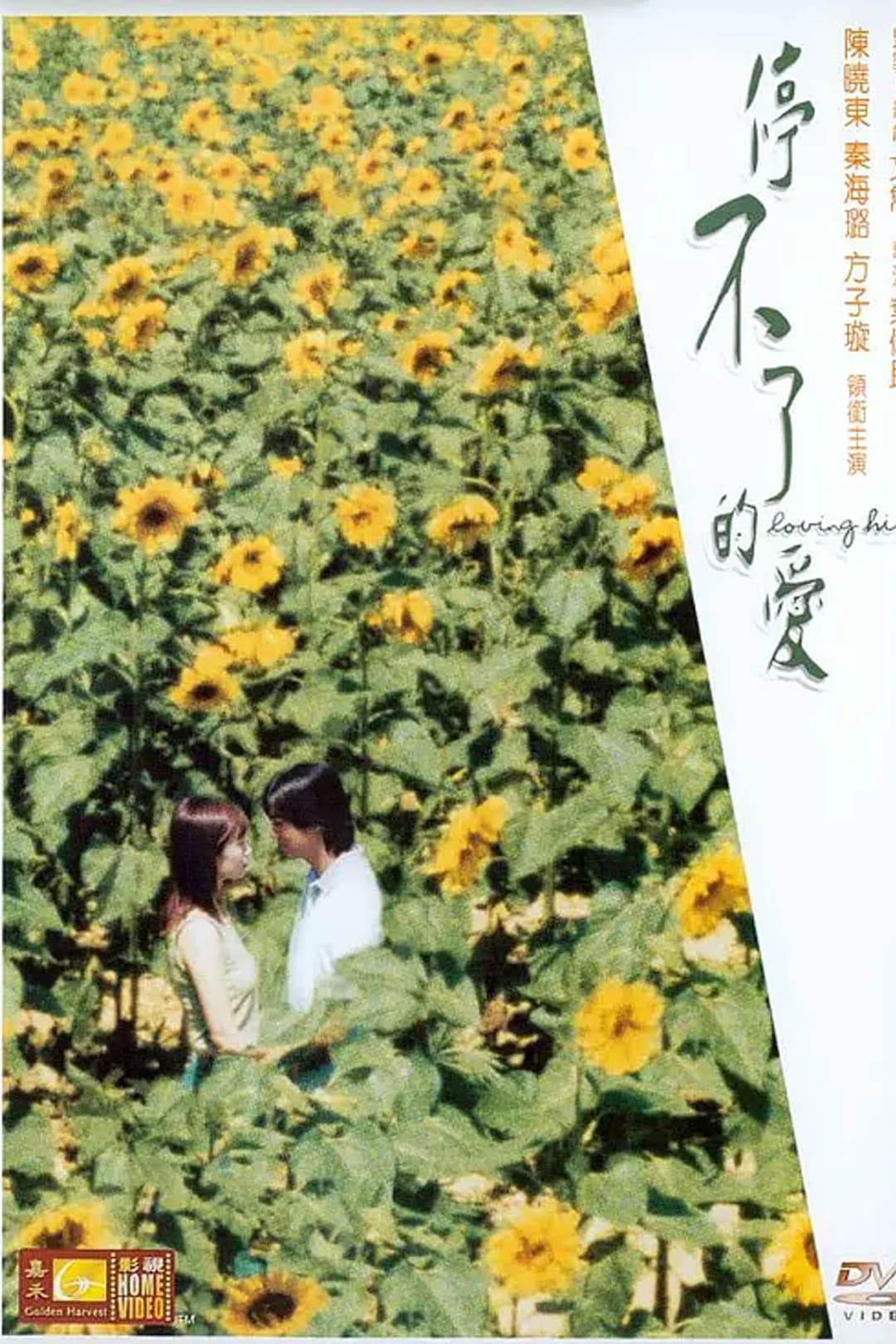Poster di 停不了的爱