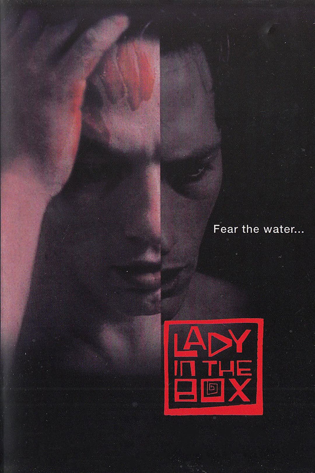 Poster di Lady in the Box
