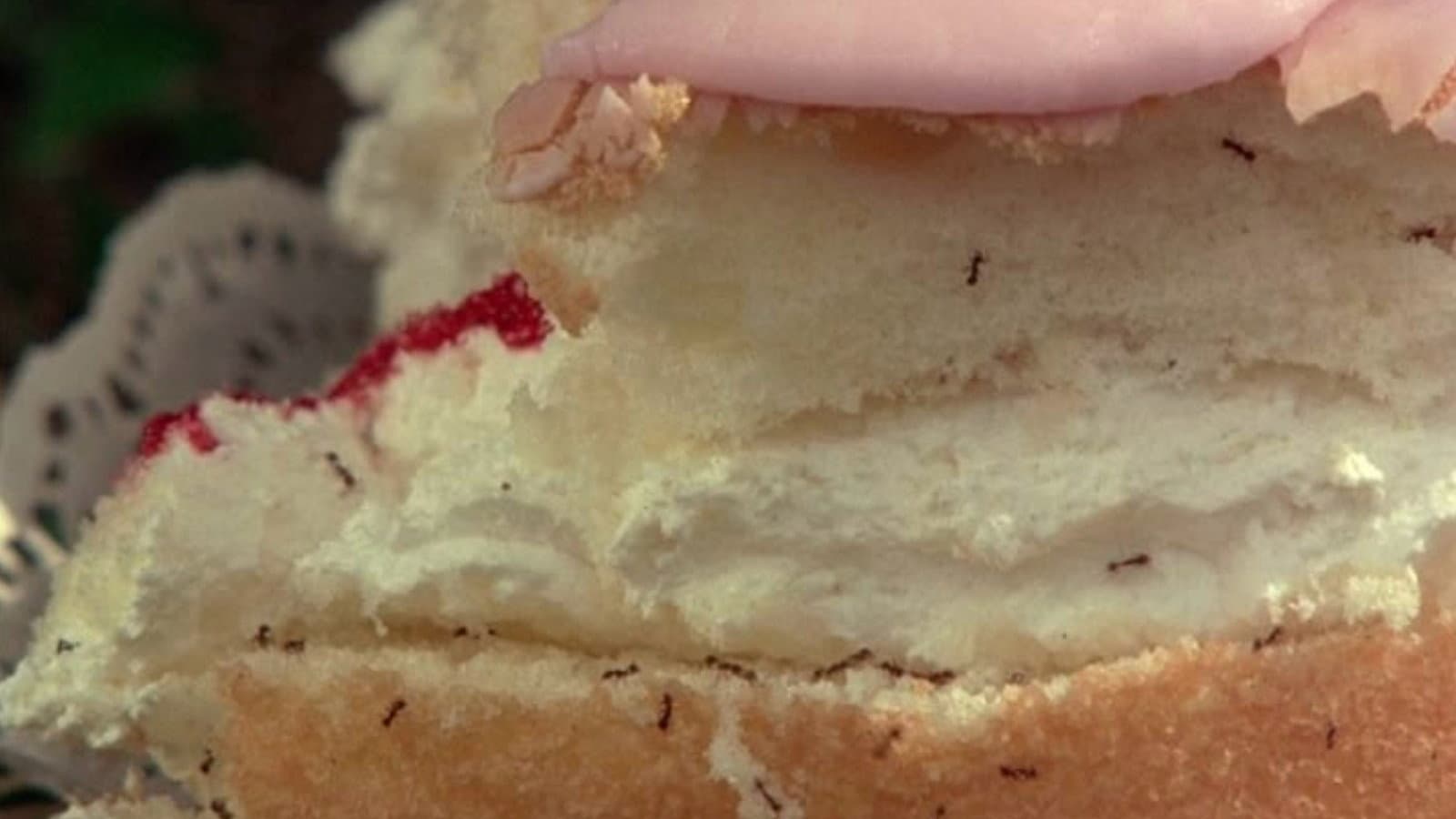 Picnic ad Hanging Rock - immagine