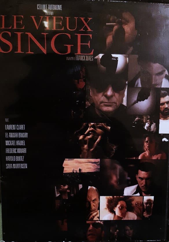 Poster di Le Vieux Singe