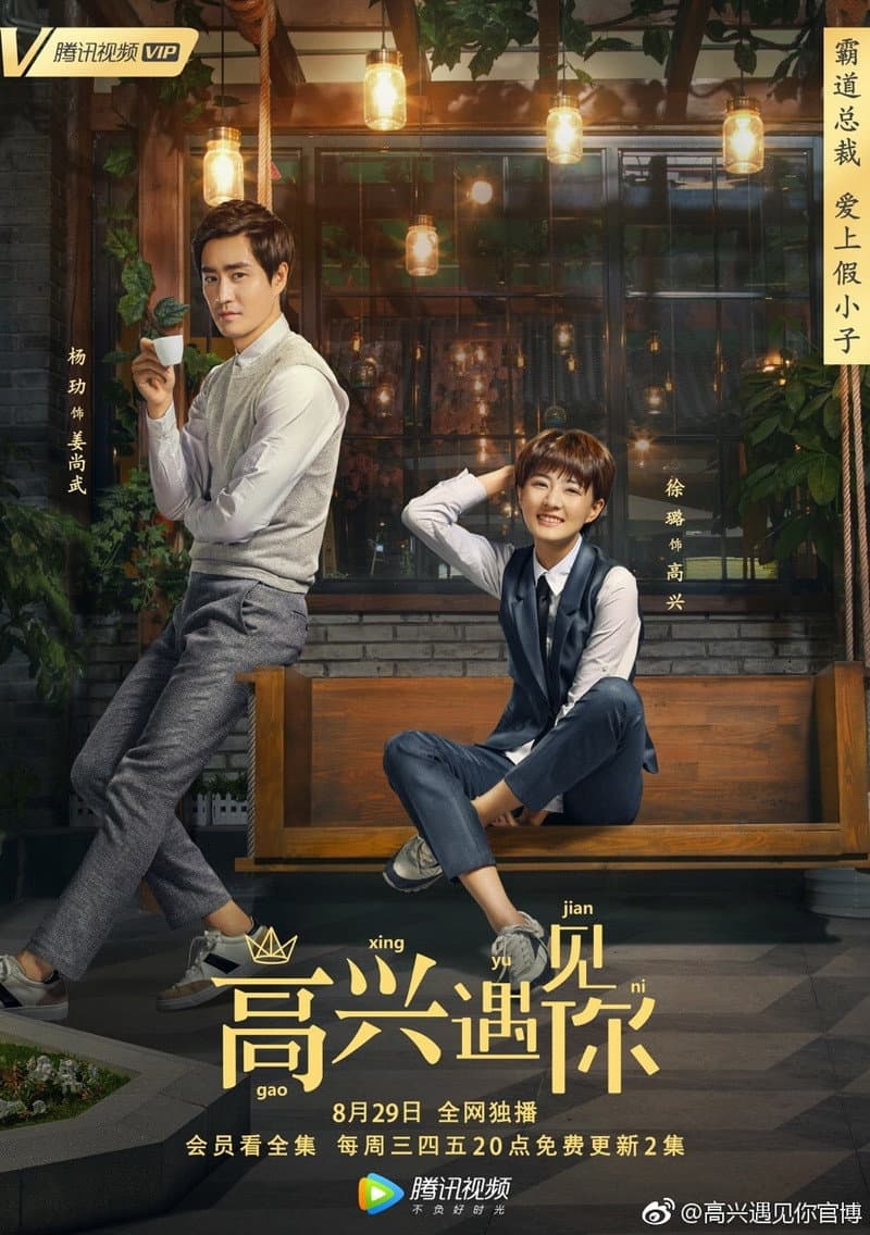 Poster di 高兴遇见你