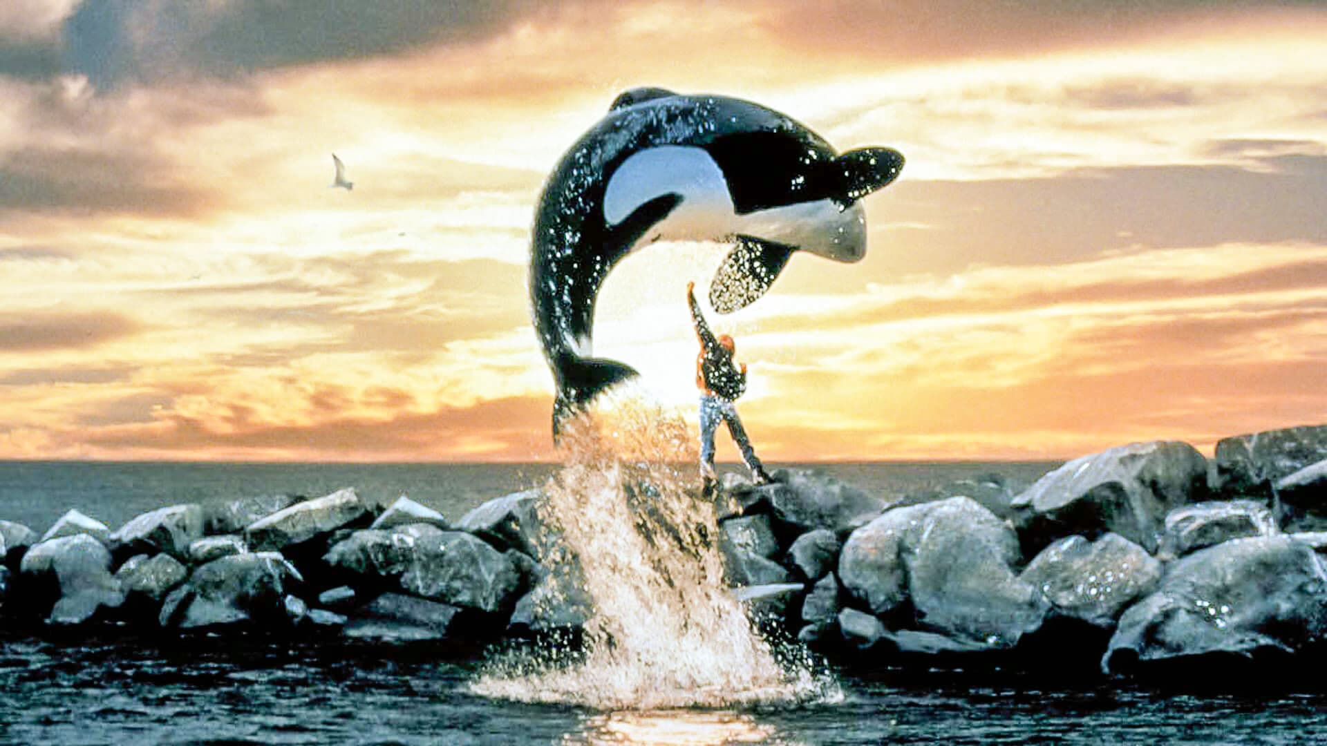 Free Willy - Un amico da salvare - immagine