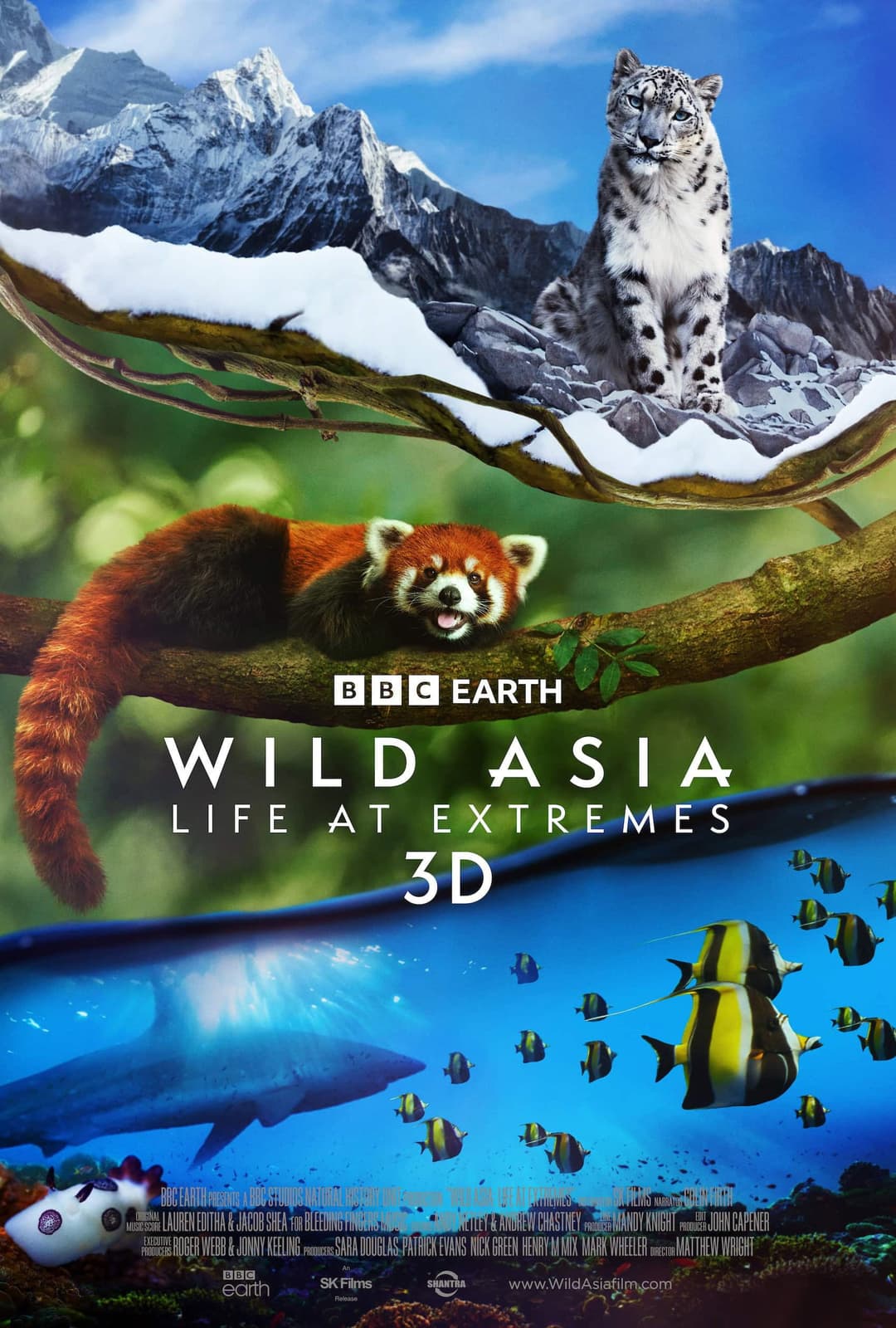 Poster di Wild Asia: Life at Extremes