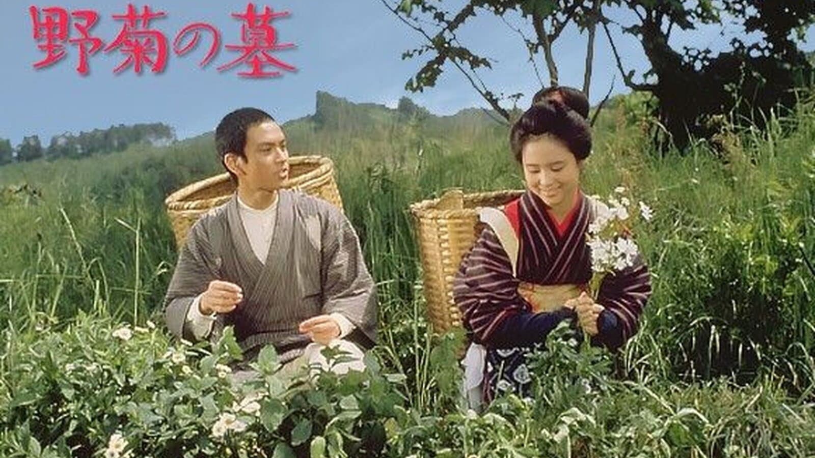 野菊の墓 - immagine