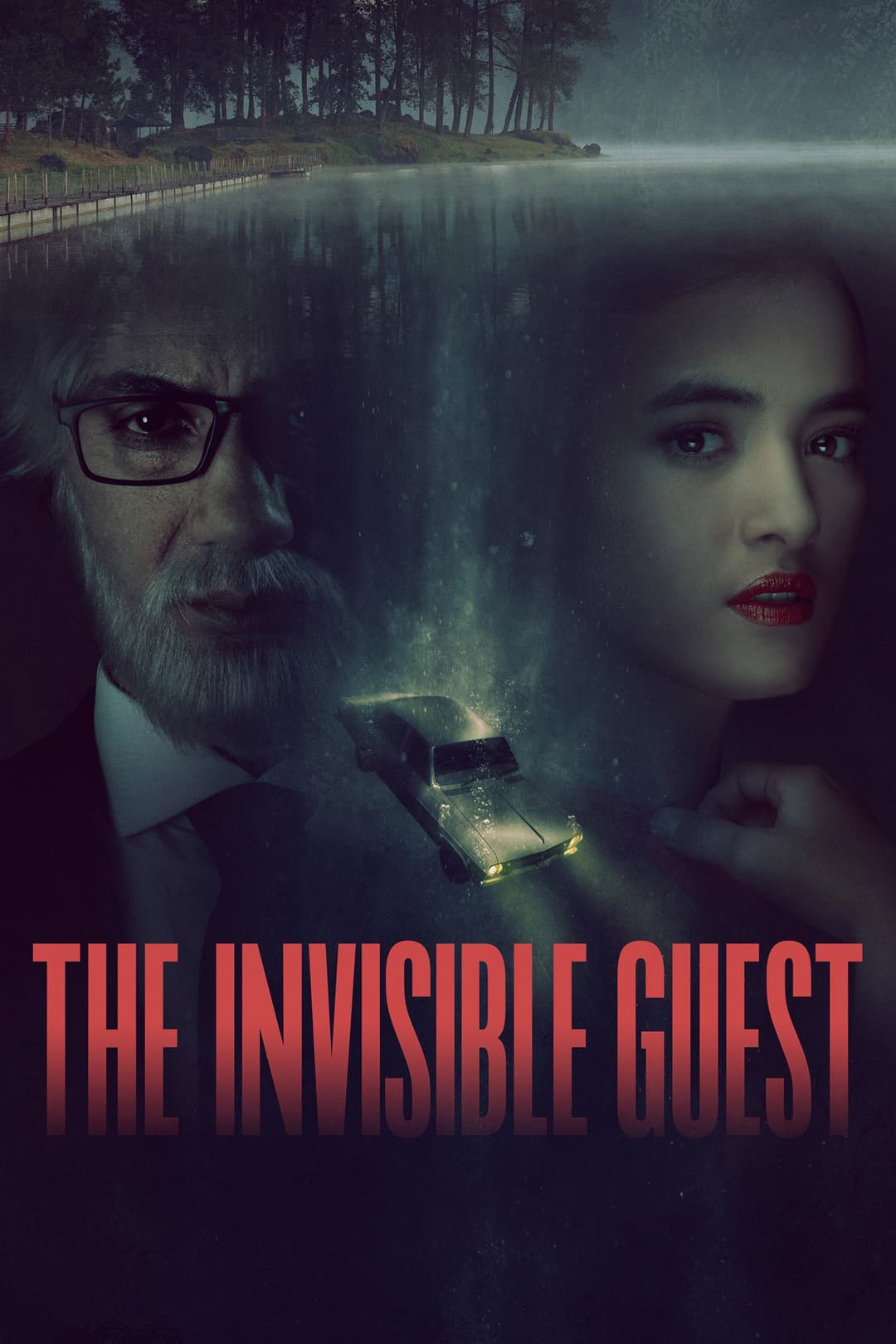 Poster di The Invisible Guest
