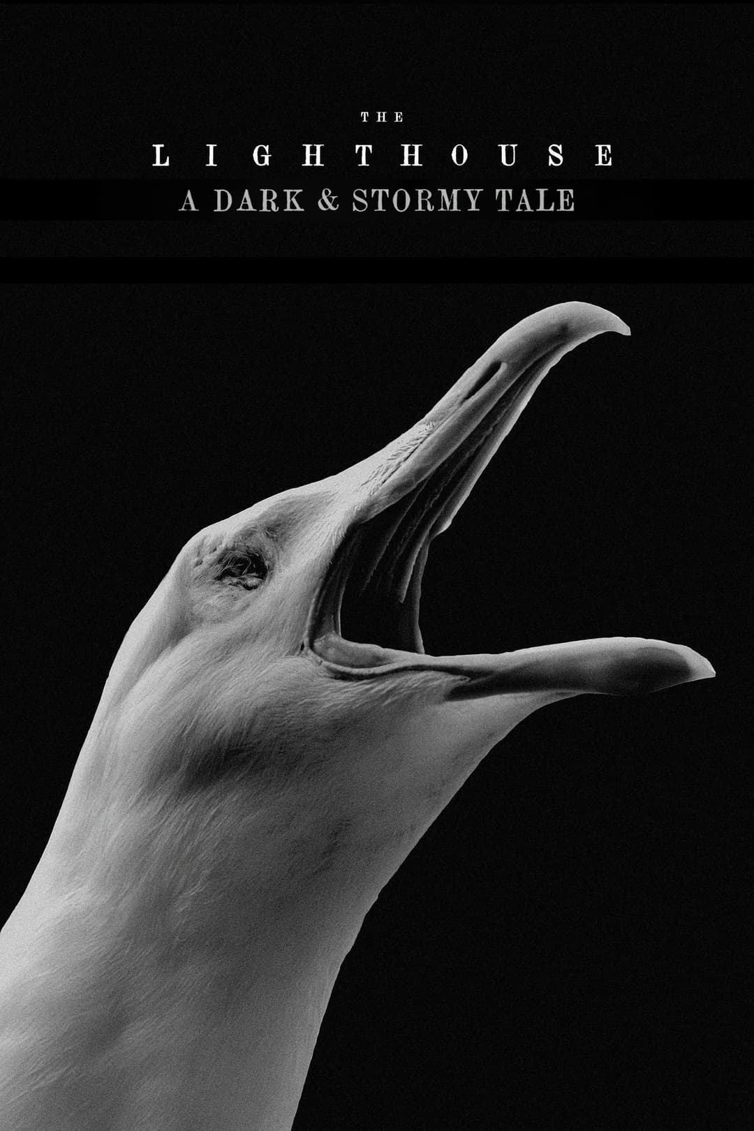 Poster di The Lighthouse: A Dark & Stormy Tale