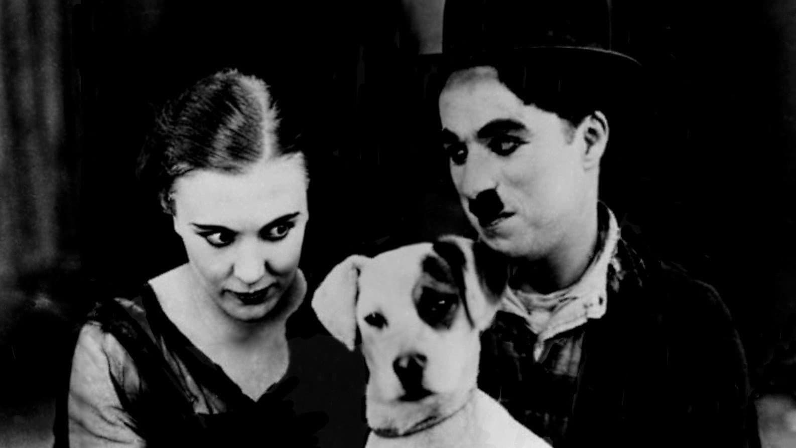 Vita da cani - immagine