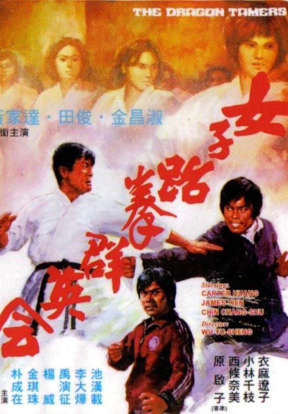 Poster di 女子跆拳群英會
