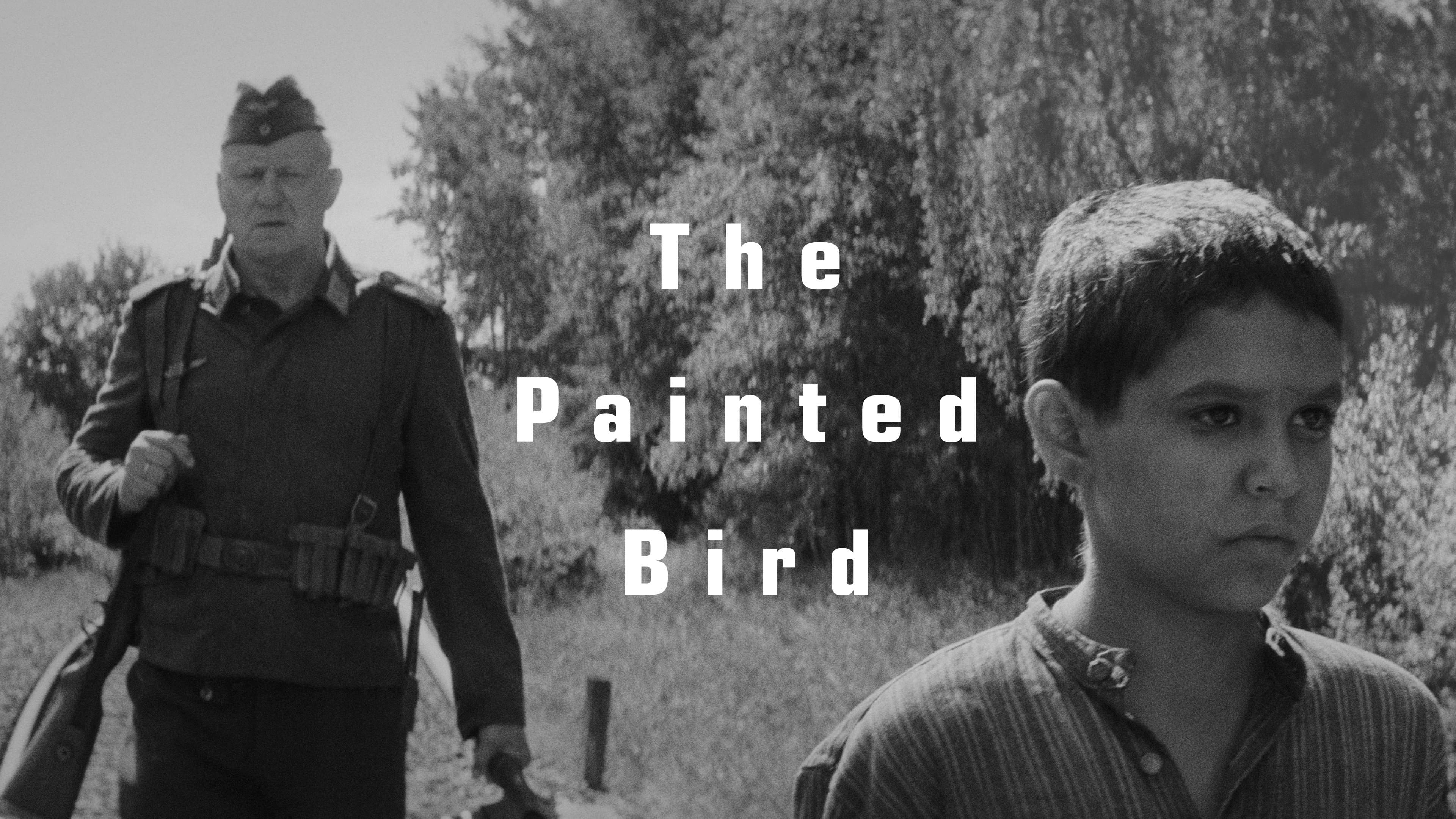 The Painted Bird - Nabarvené ptáče - immagine