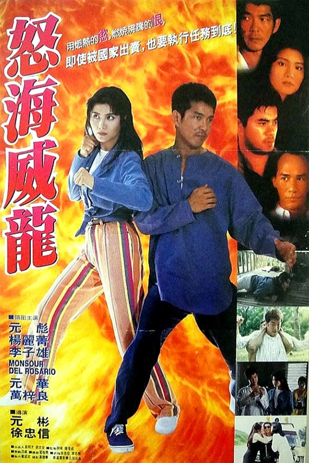 Poster di 怒海威龙