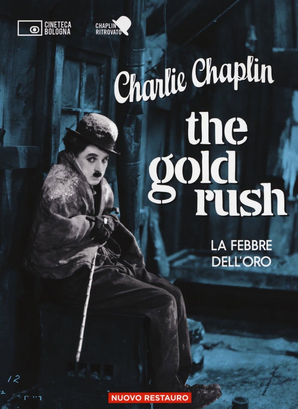 Poster di La febbre dell'oro