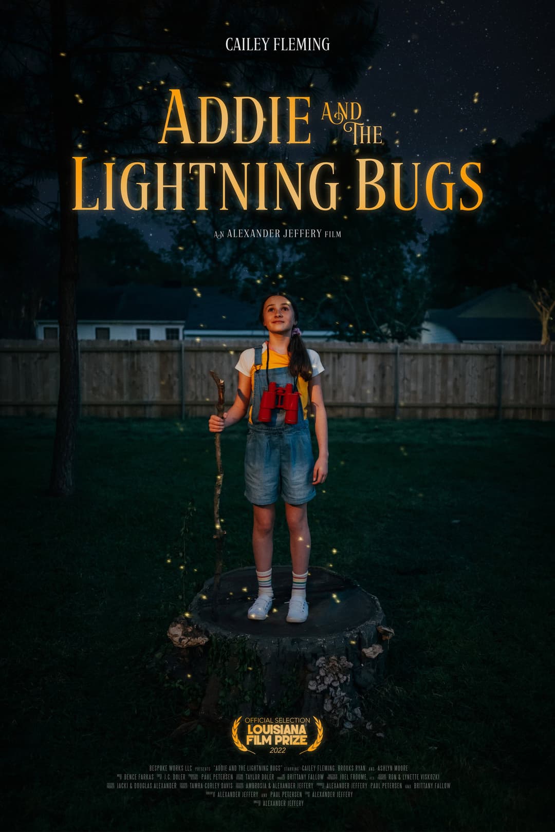 Poster di Addie and the Lightning Bugs