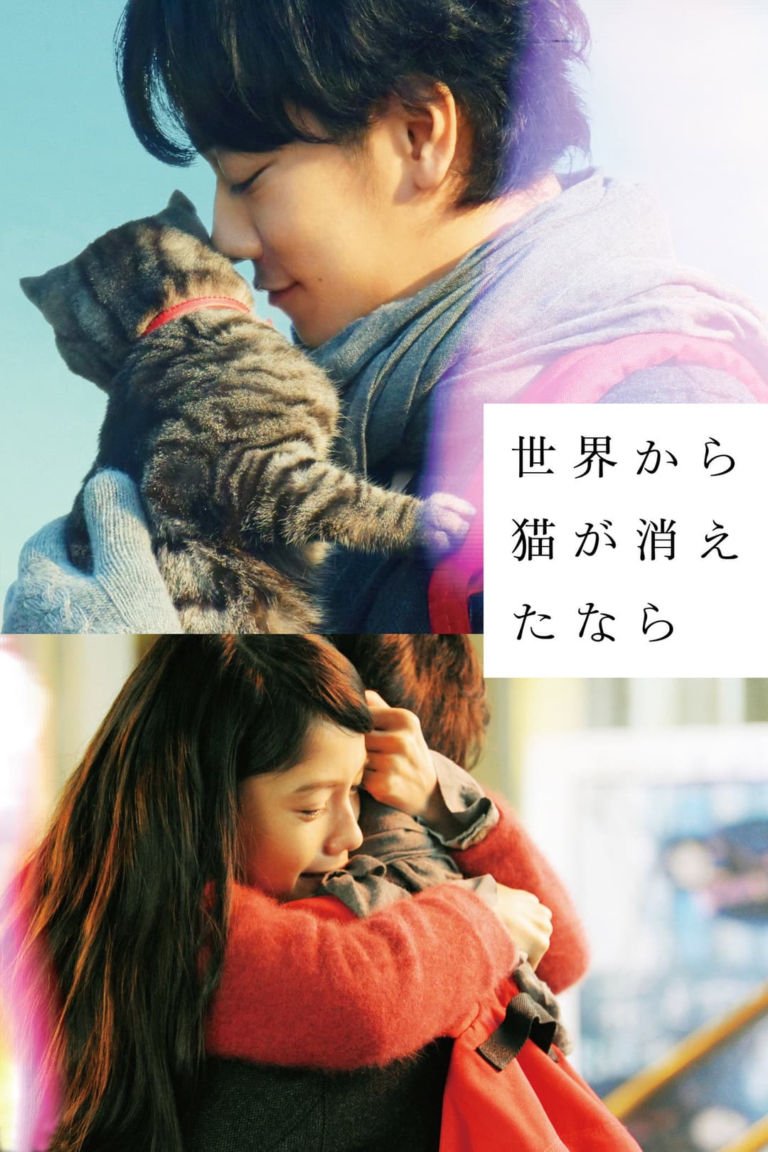 Poster di If Cats Disappeared From the World