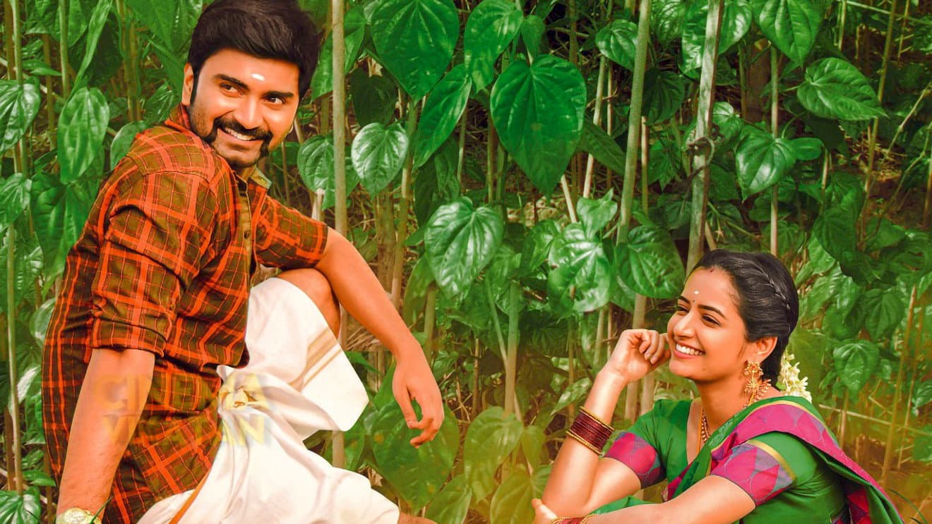 பட்டத்து அரசன் - immagine