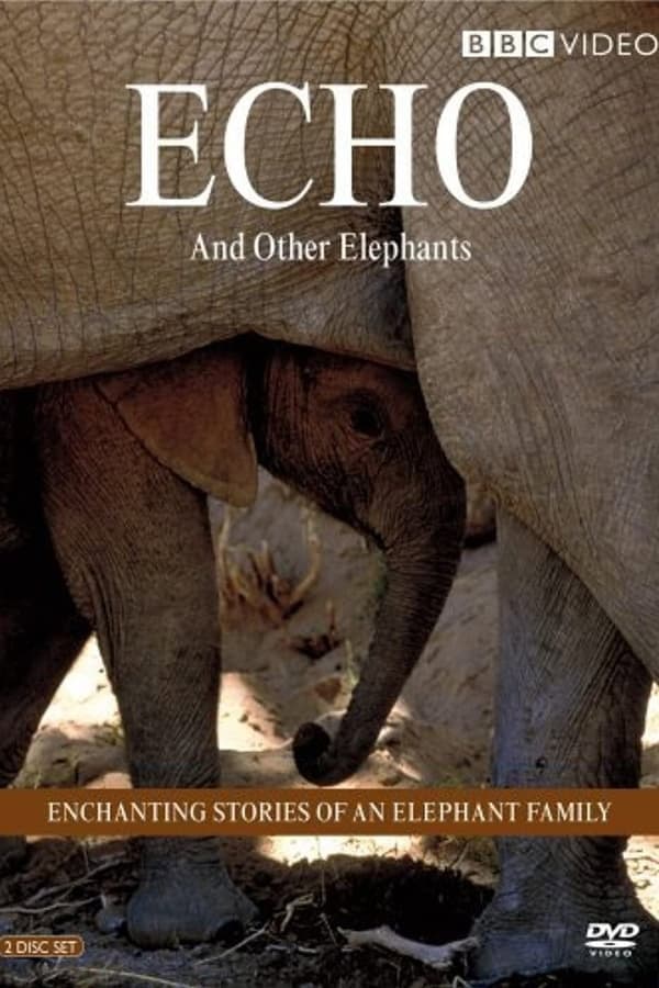 Poster di Echo and Other Elephants