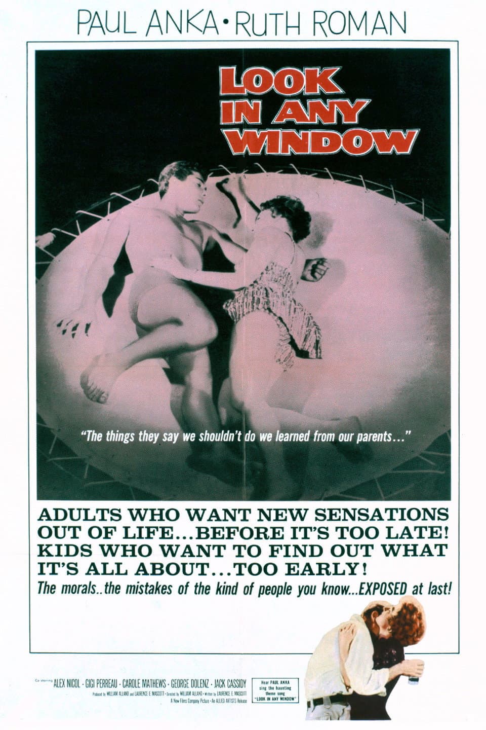 Poster di Look in Any Window