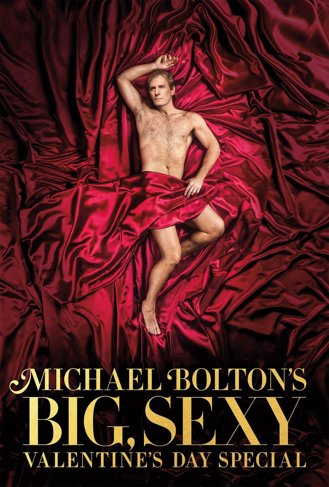 Poster di Michael Bolton's Big, Sexy Valentine's Day Special