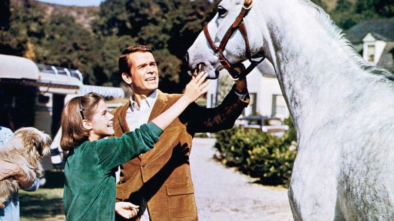 Il cavallo in doppiopetto - immagine