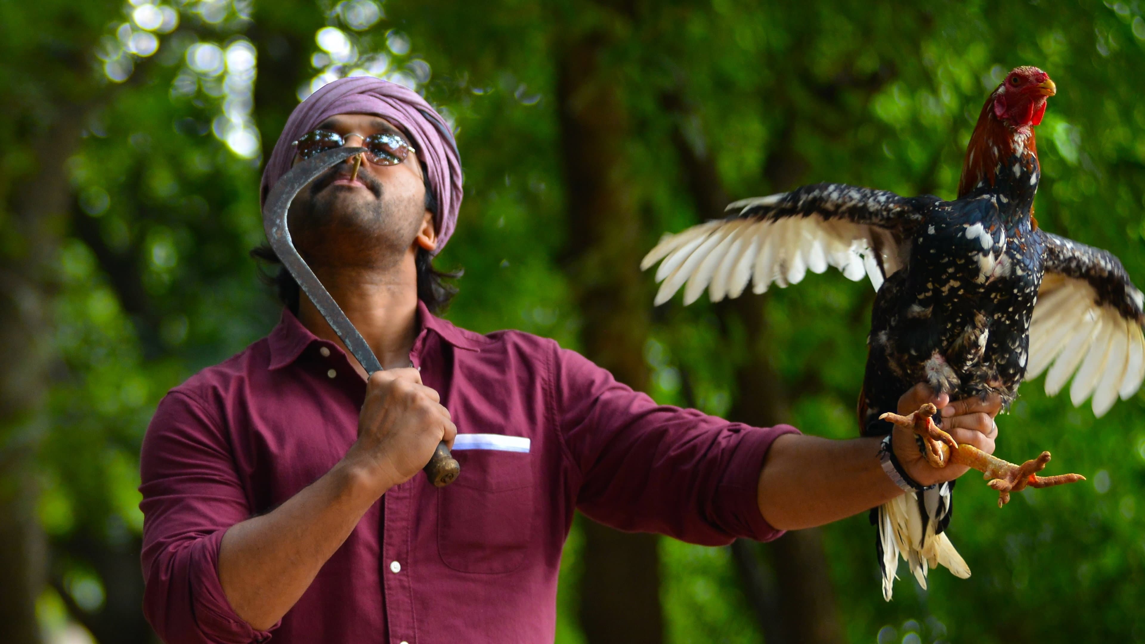 Ala Vaikunthapurramuloo - immagine