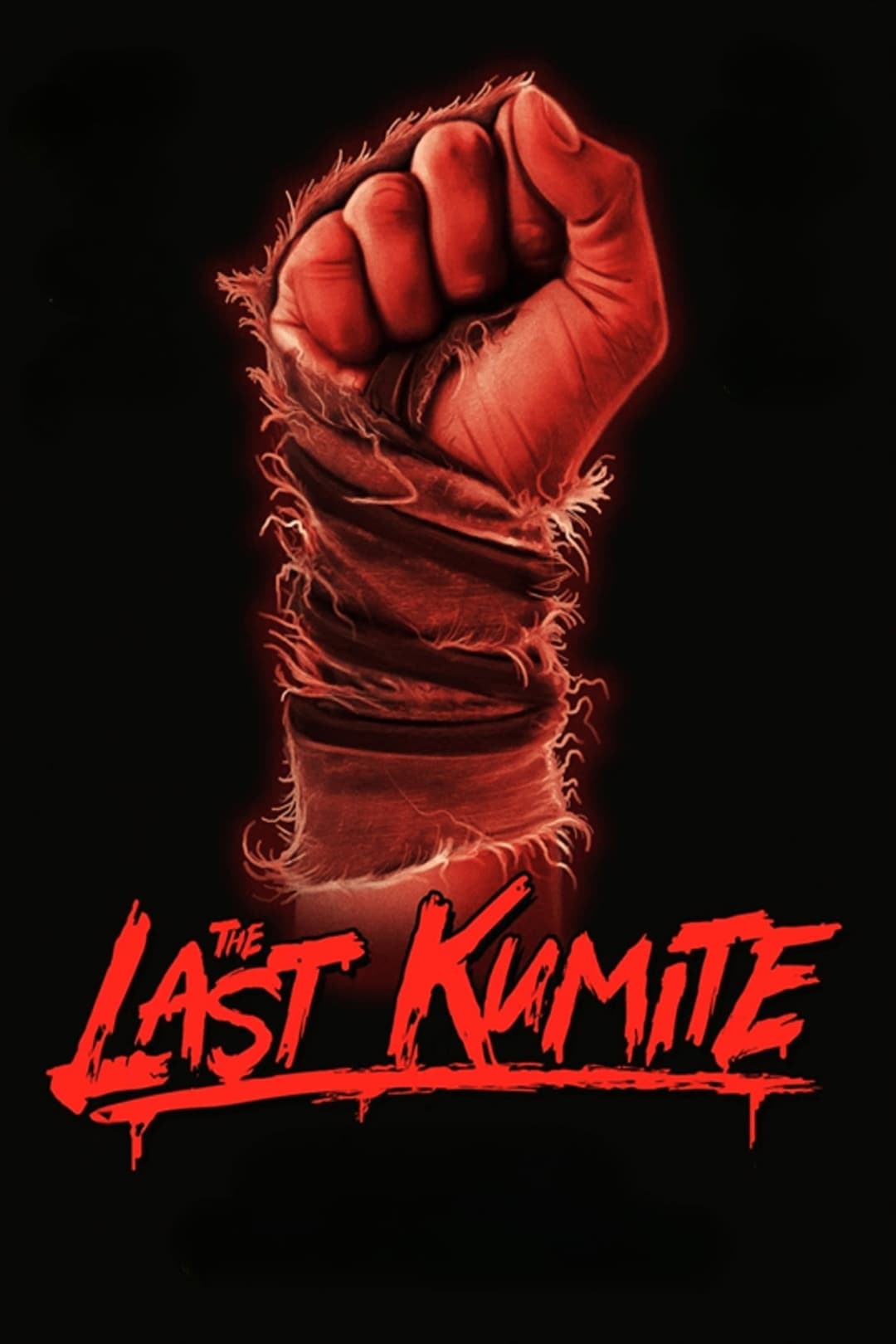 Poster di The Last Kumite