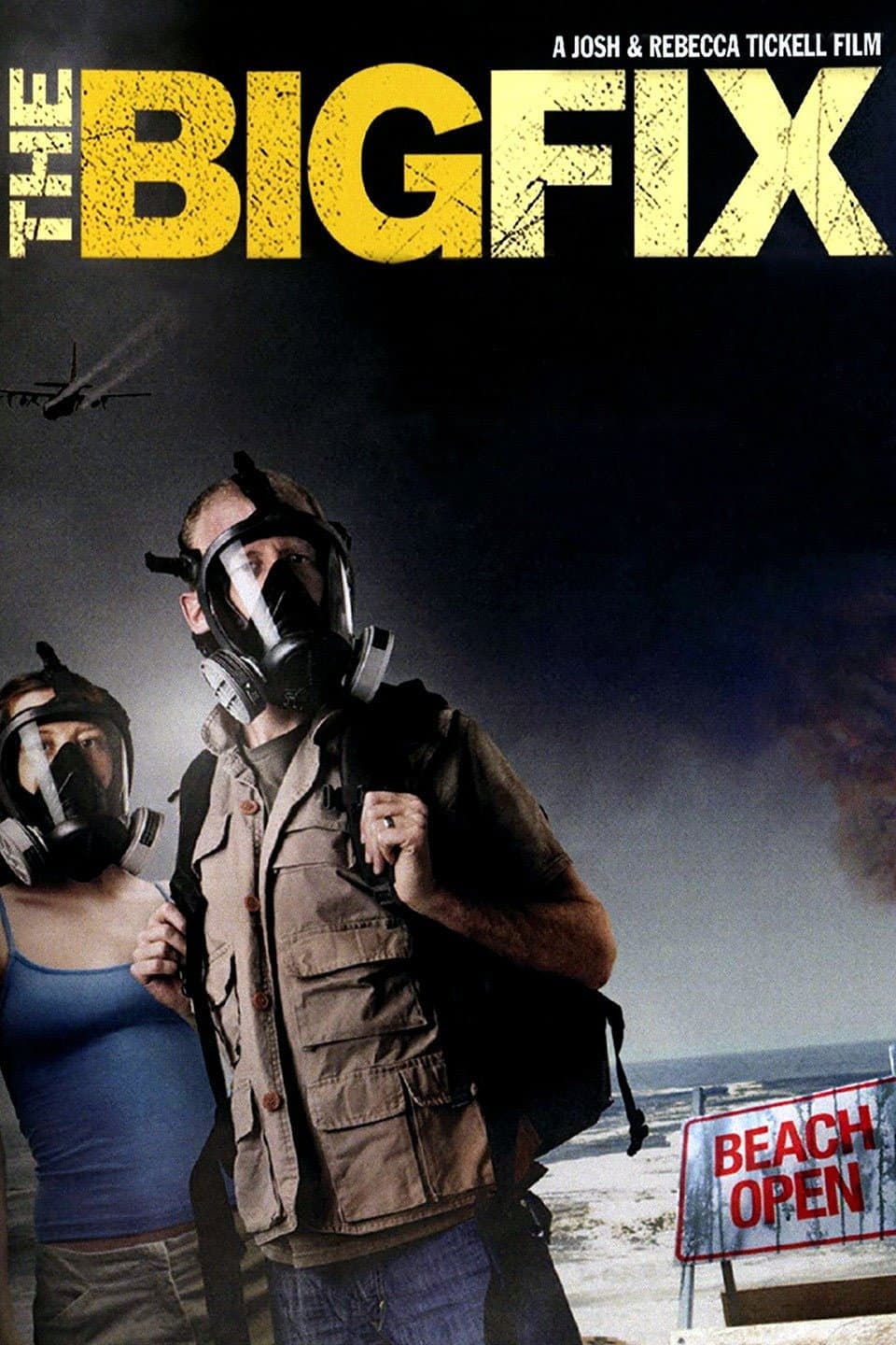 Poster di The Big Fix