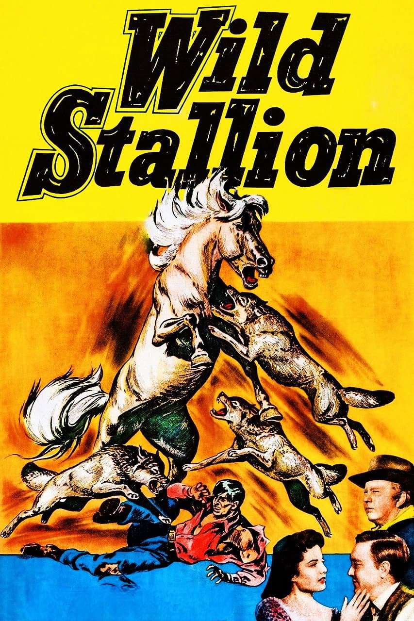 Poster di Wild Stallion