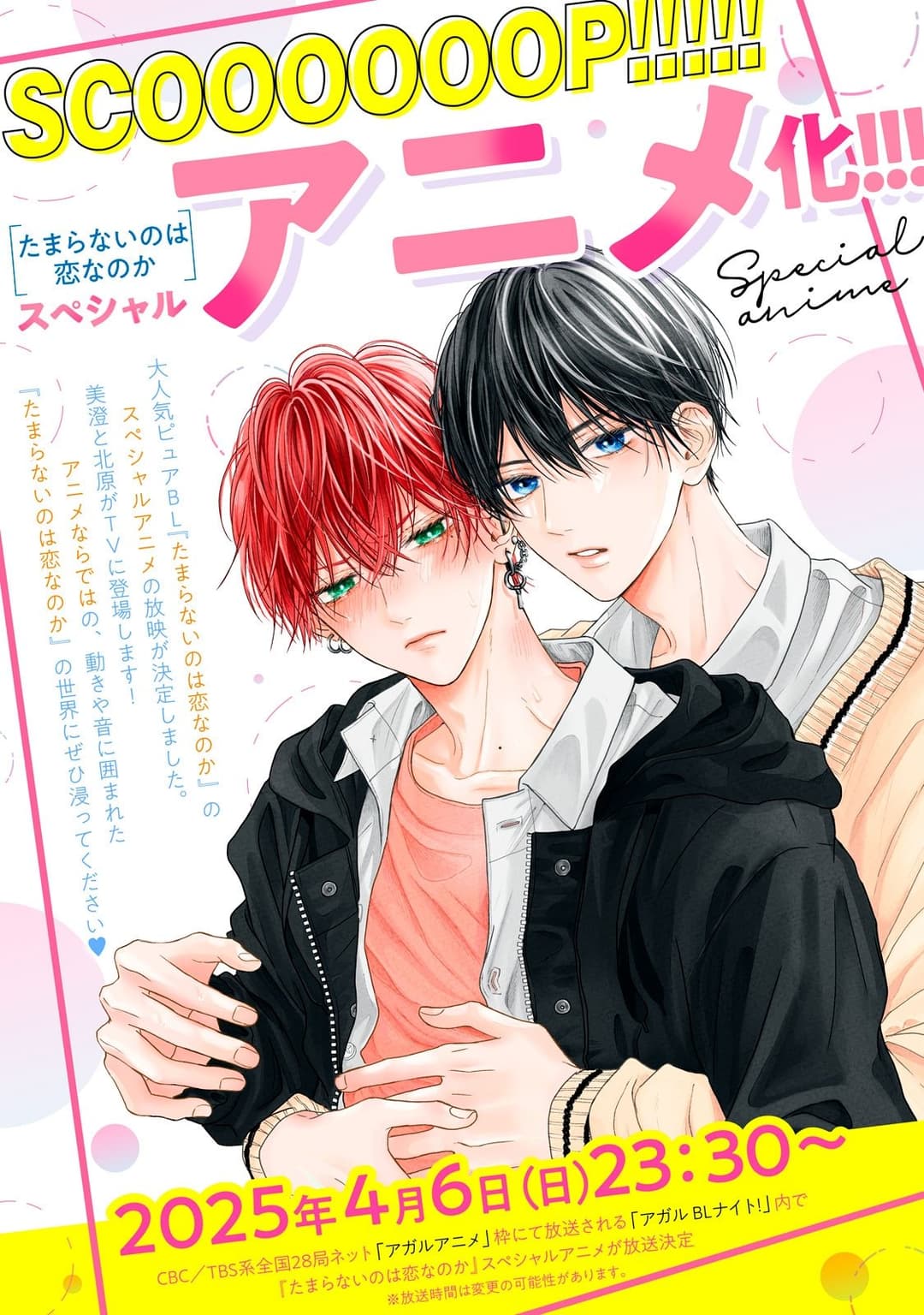 Poster di たまらないのは恋なのか