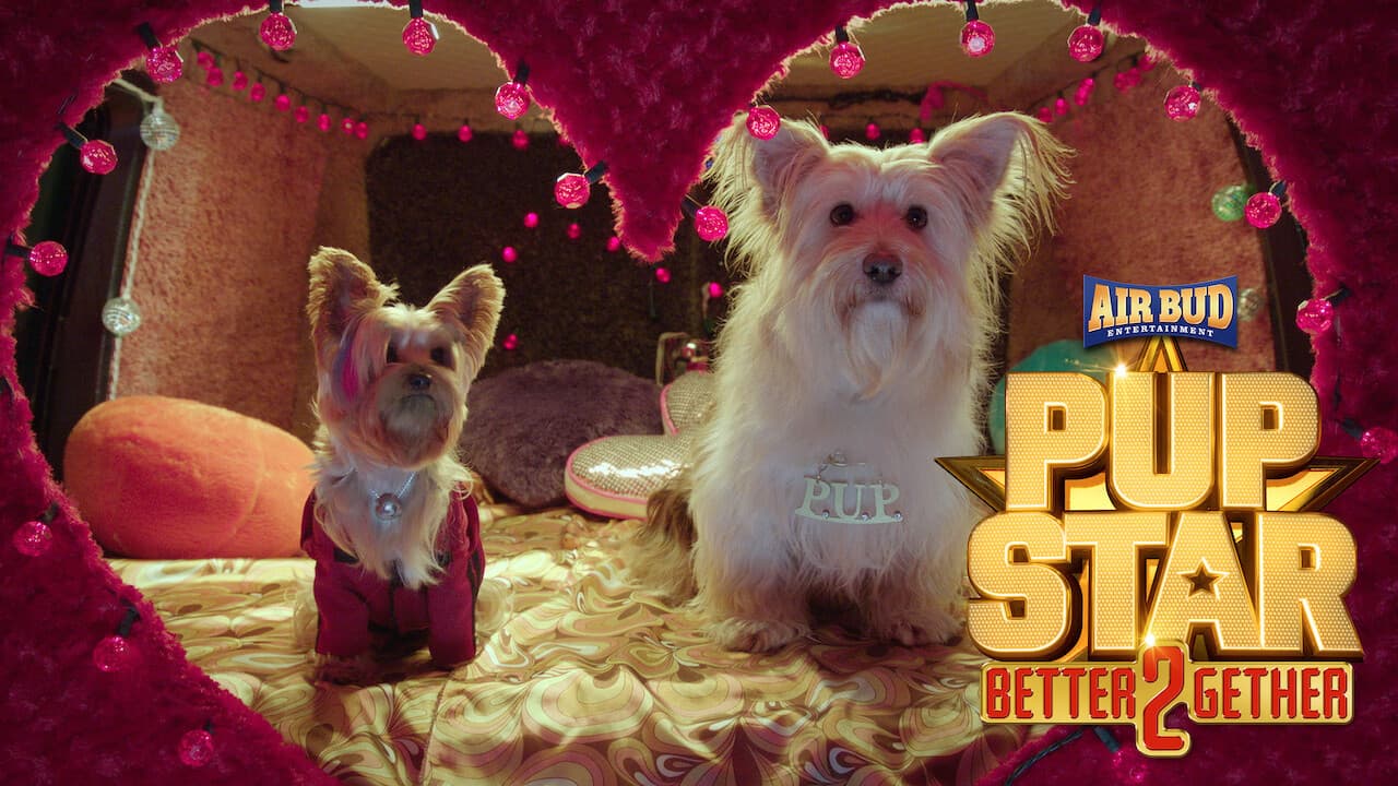 Pup Star: Better 2Gether - immagine