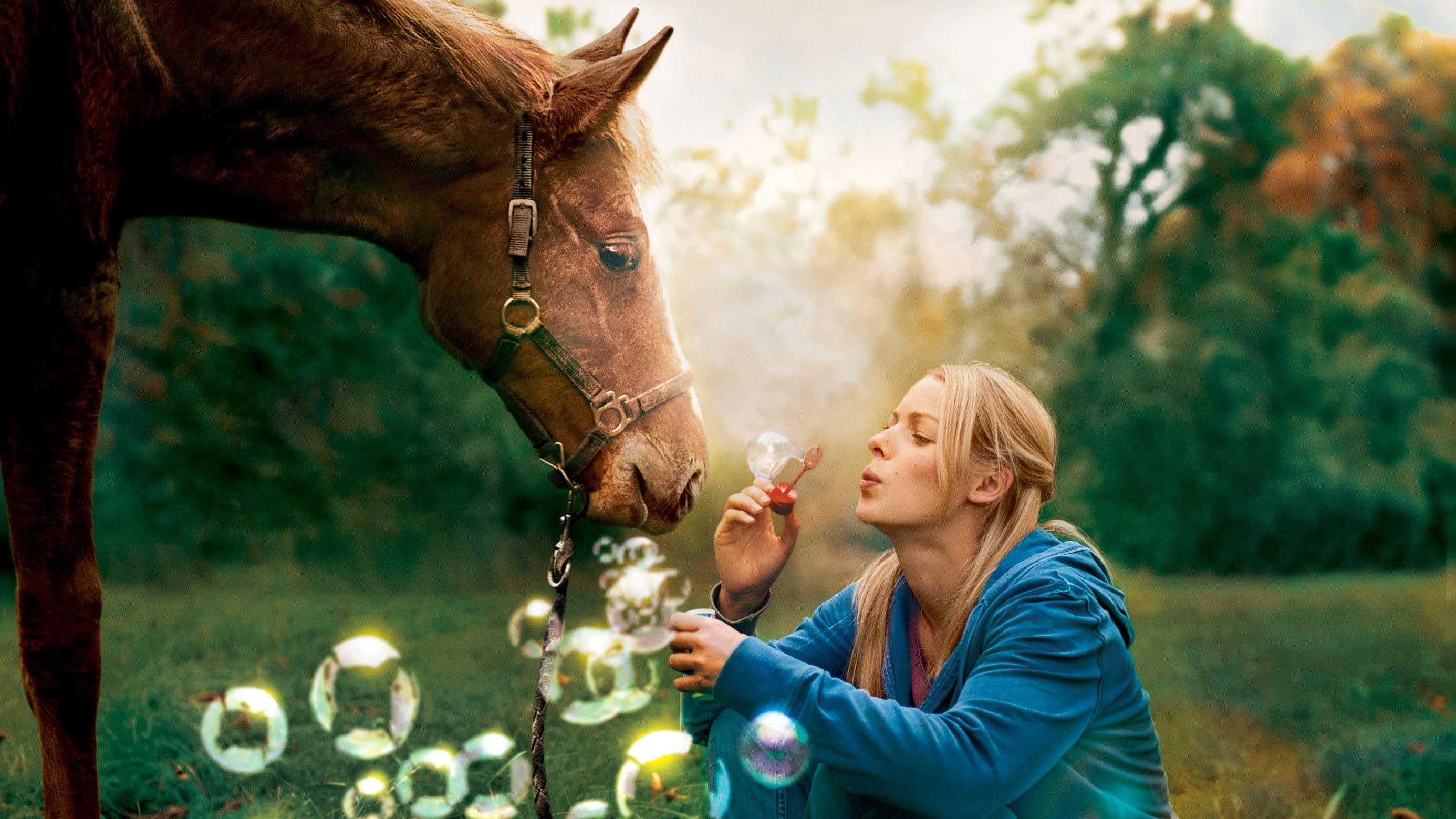 La mia buona stella - immagine