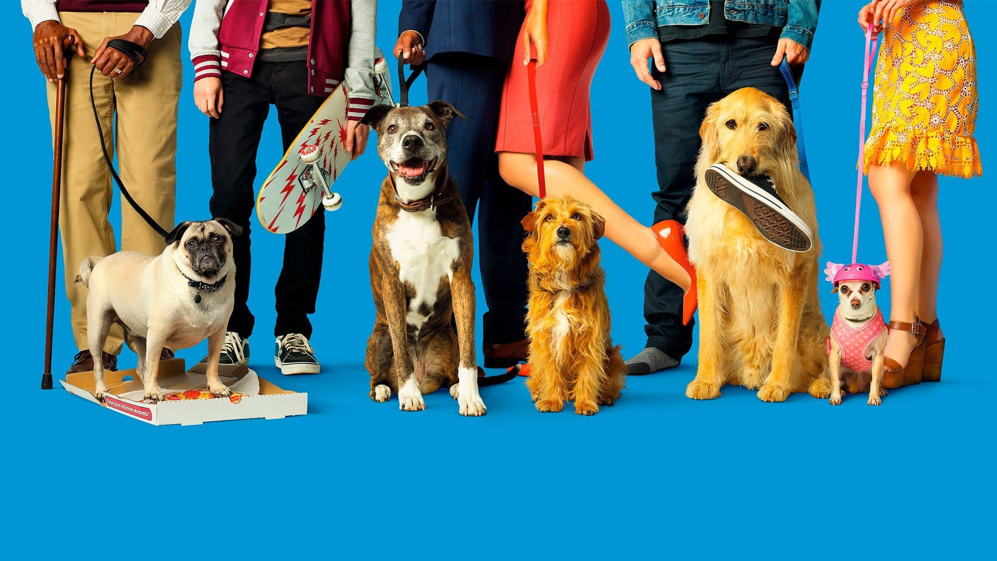 Dog Days - immagine