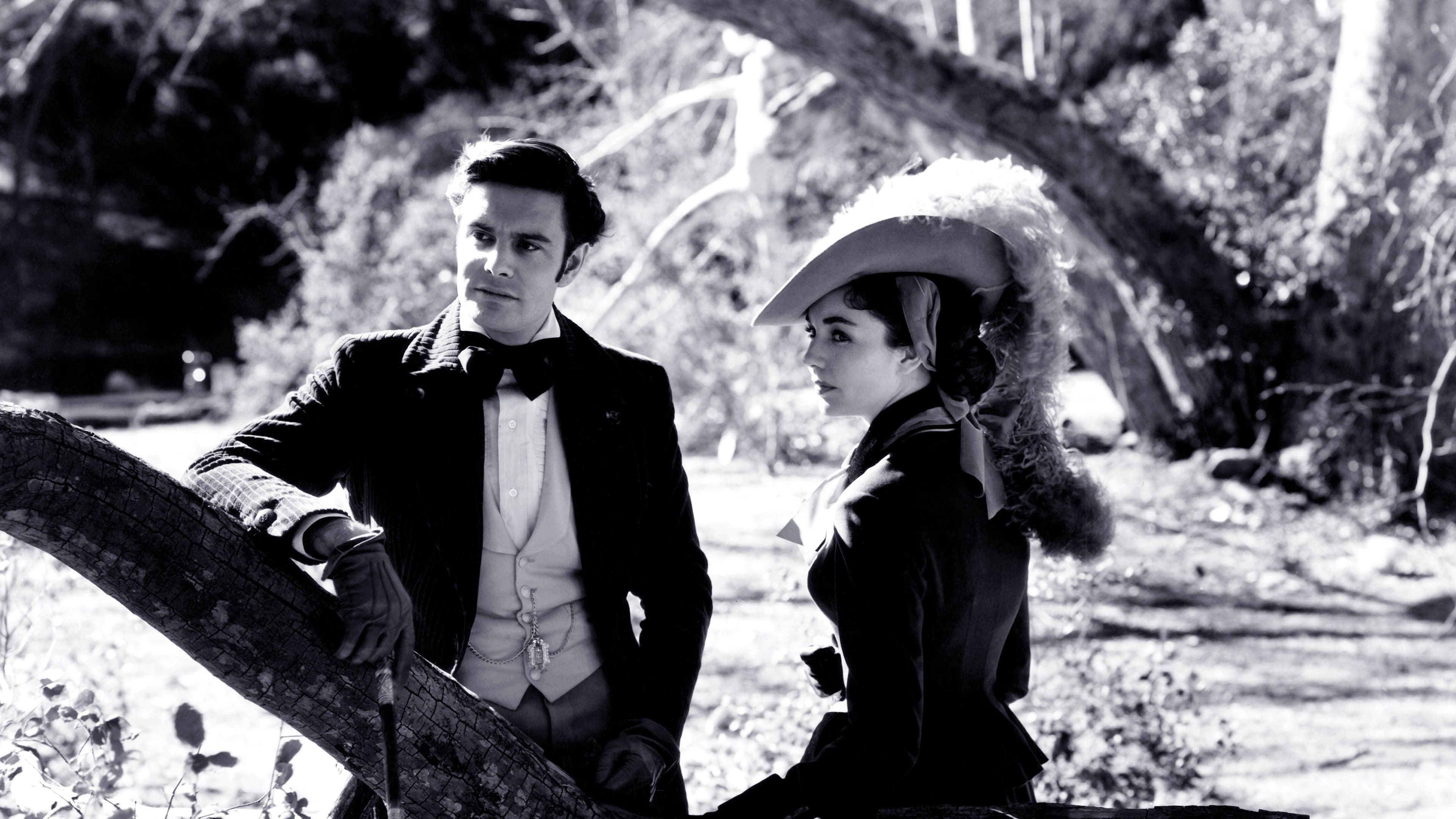 Madame Bovary - immagine