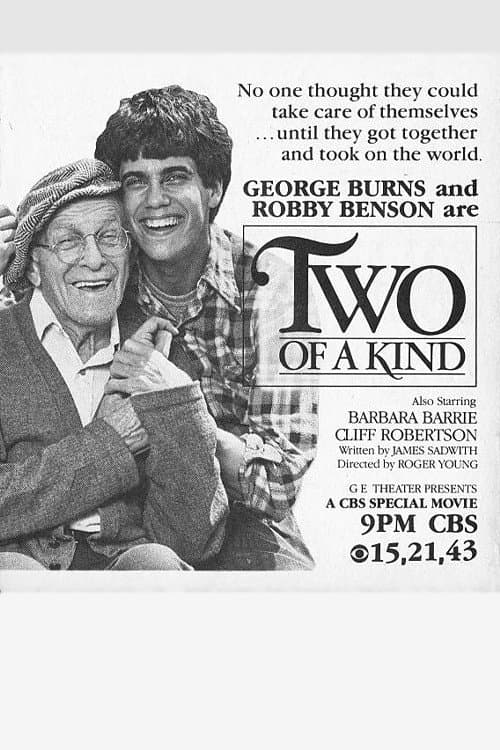 Poster di Two of a Kind