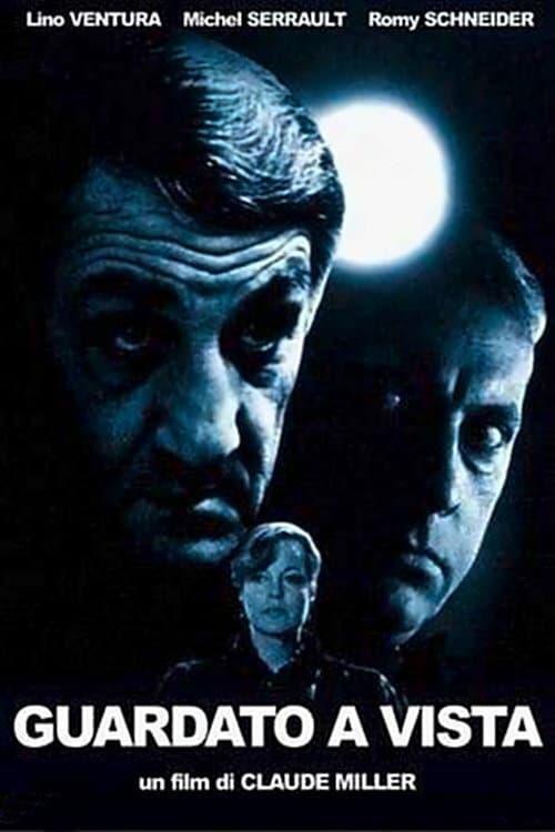 Poster di Guardato a vista