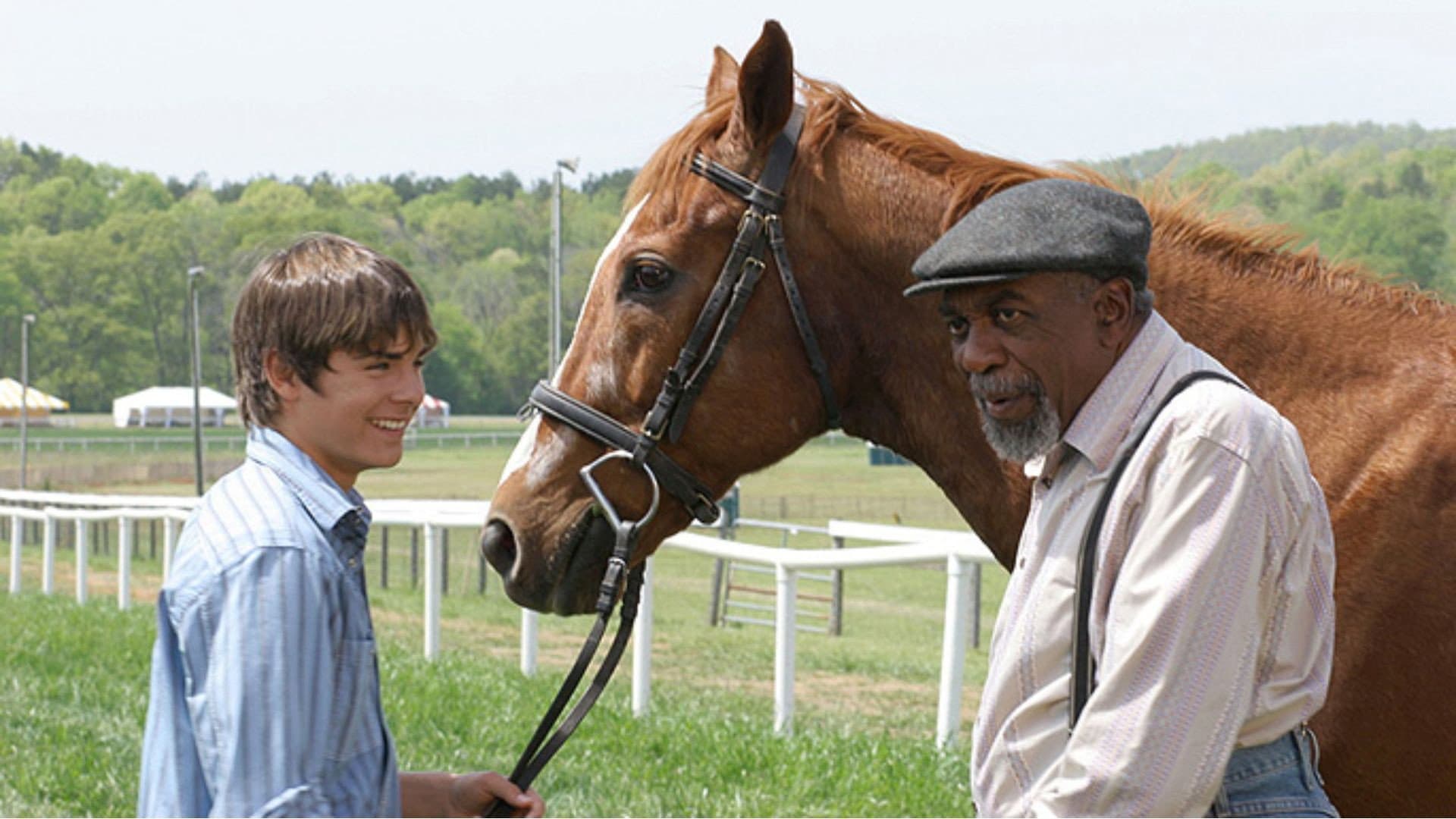 The Derby Stallion - immagine