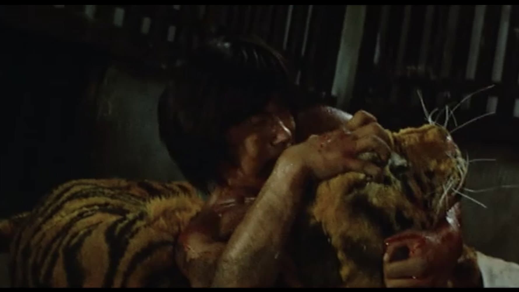 武闘拳　猛虎激殺！ - immagine
