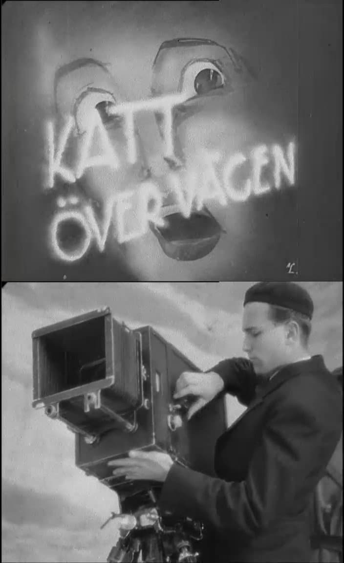 Poster di Katt över vägen