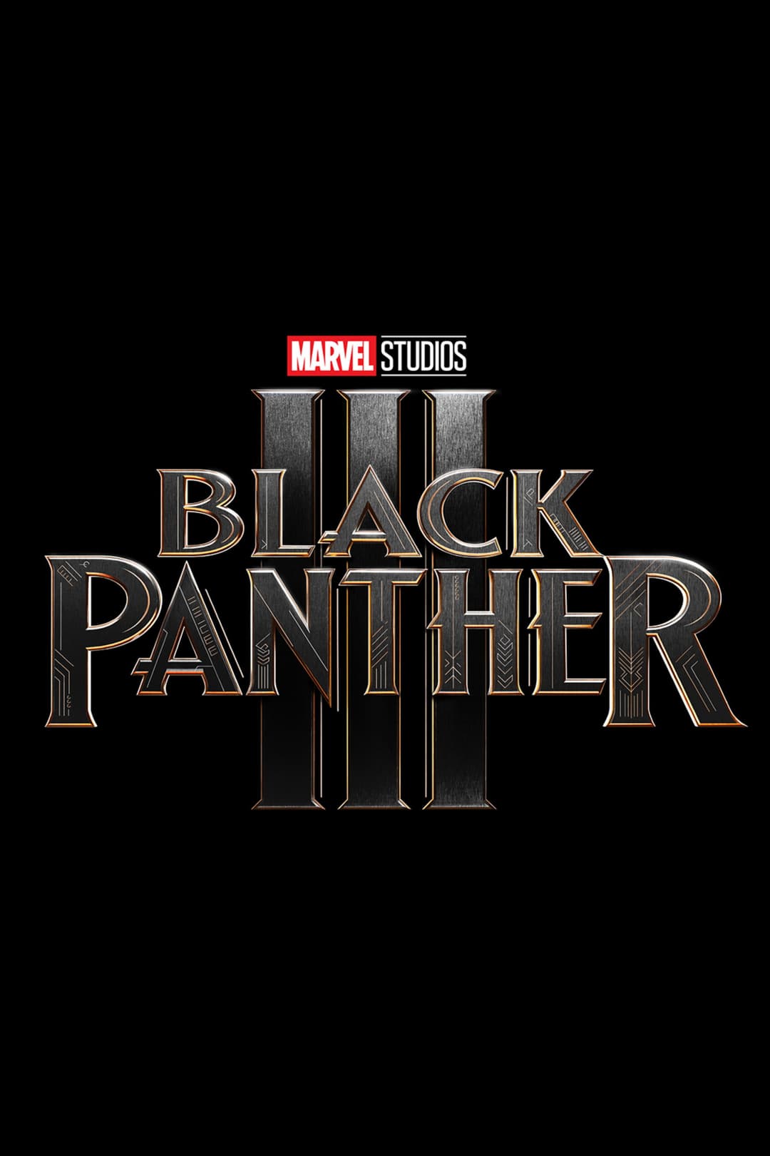 Poster di Black Panther 3